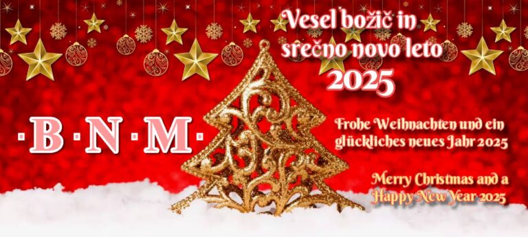 Frohe Weihnachten und ein glückliches neues Jahr 2025